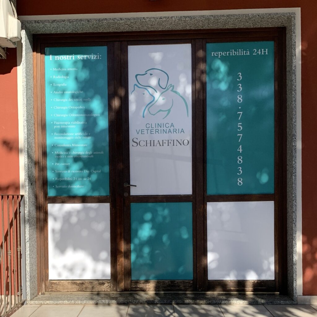 stampa vetrofanie alghero - vetrofania Clinica Veterinaria Schiaffino Usini