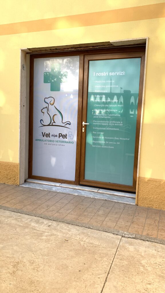 stampa vetrofanie alghero - vetrofania Vet for Pet Porto Torres