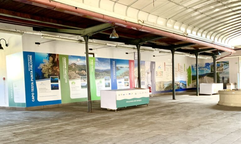 Allestimento BITAS 2023 all’Ex Mercato Civico di Alghero – foto 1