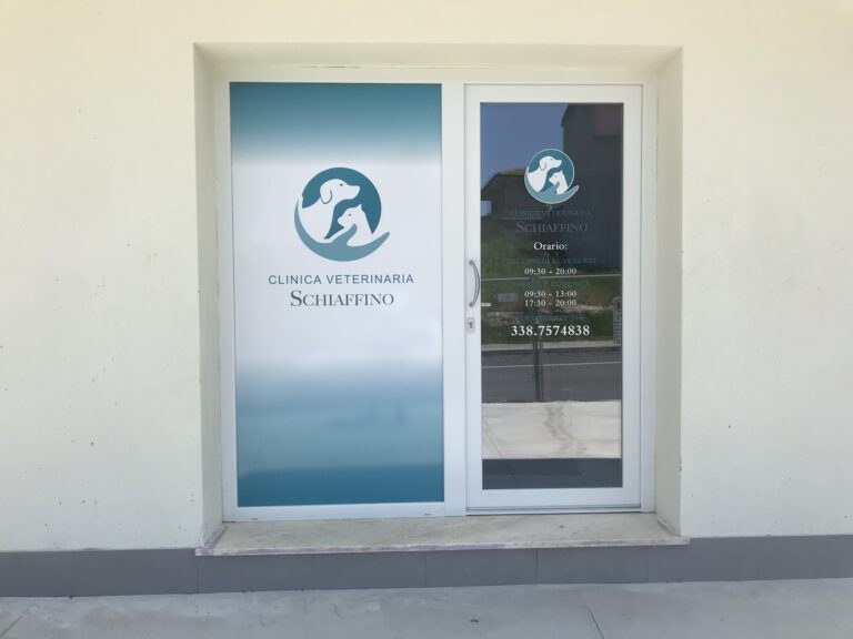 Vetrofanie e porte della Clinica Veterinaria Schiaffino a Usini – foto 1