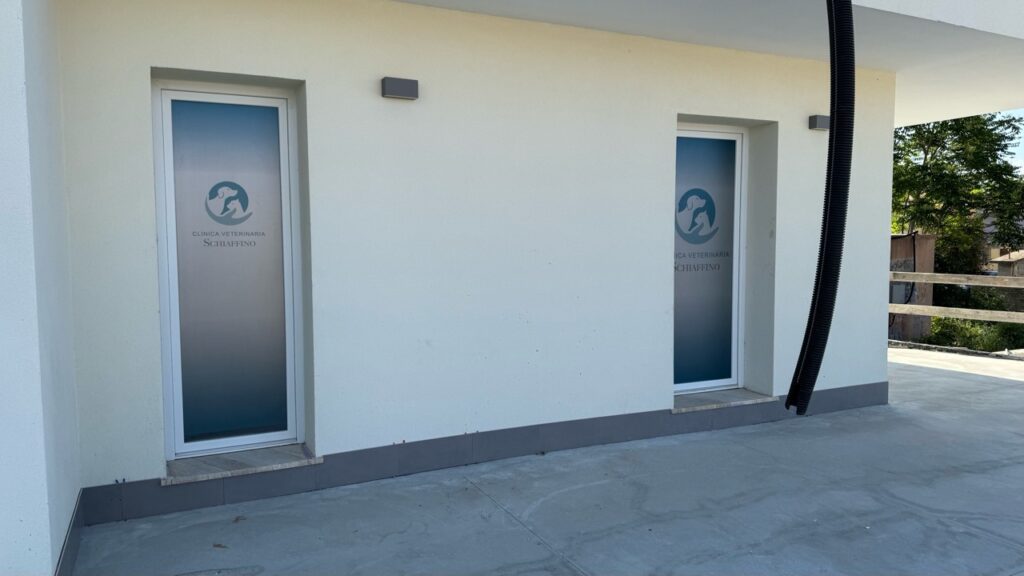 Vetrofanie e porte della Clinica Veterinaria Schiaffino a Usini – foto 2